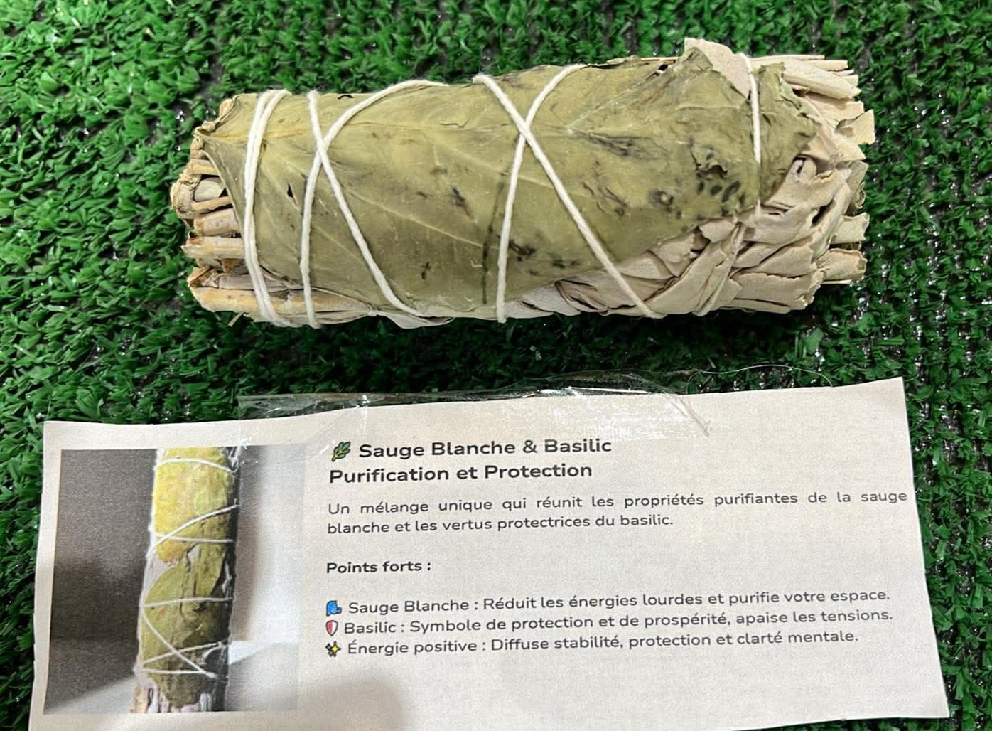 Sauge basilic