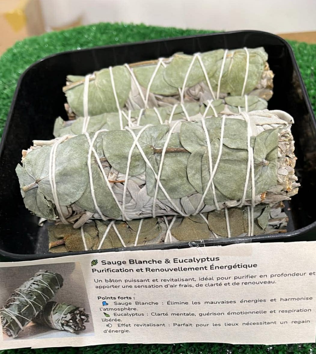 Sauge Blanche eucalyptus