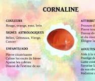 bracelet cornaline