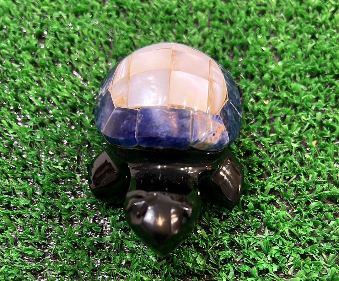 Tortue obsidienne Lapi lazuli