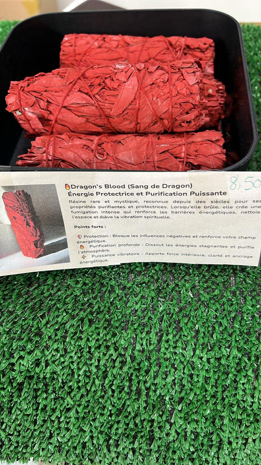 Sauge blood sang dragon